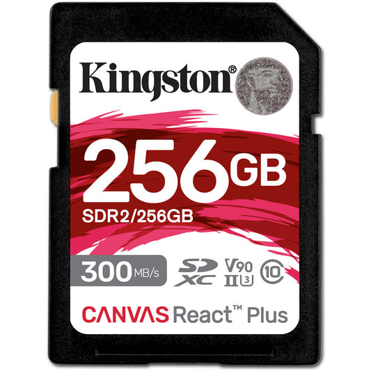 Kingston SDR2256GB IT Supplies Online