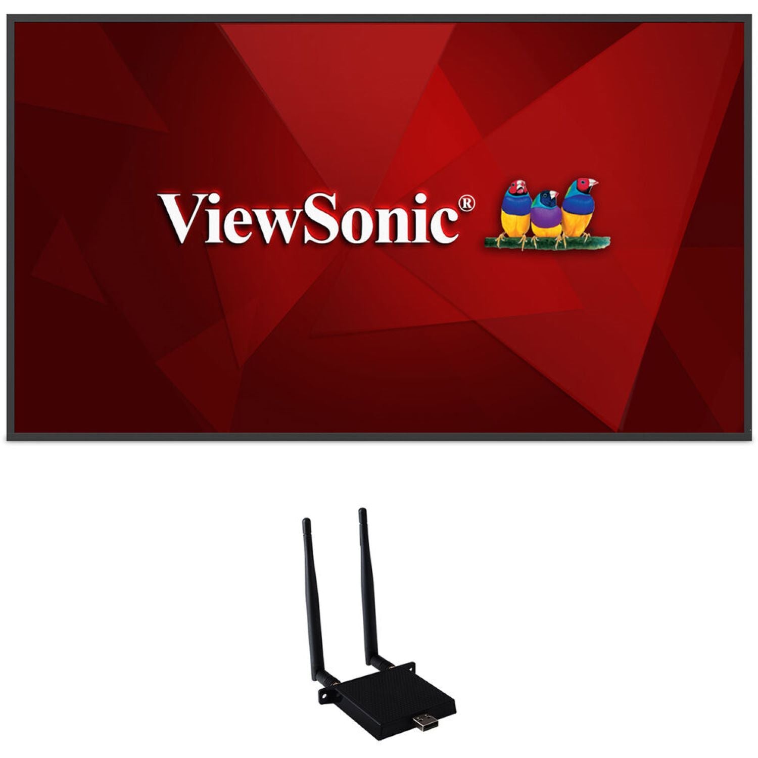 ViewSonic CDE6530-W1 IT Supplies Online